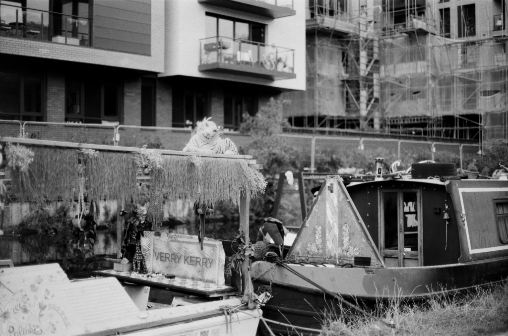 Tiger on the&nbsp;Canal