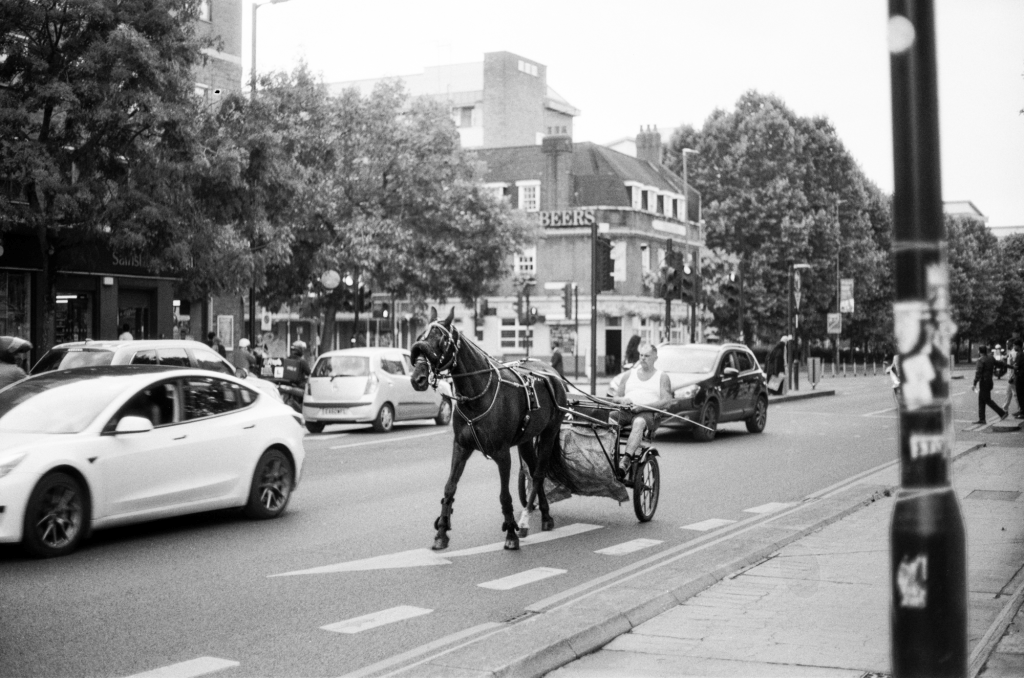 Horse in Rushhour