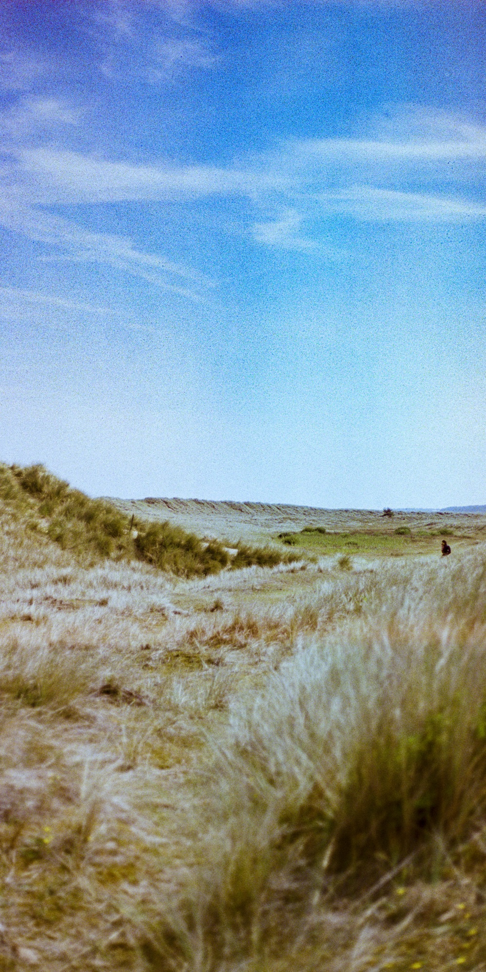 Dune Bank